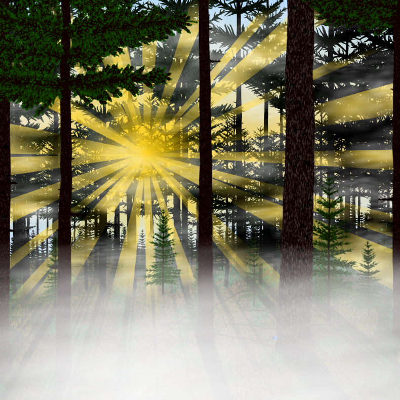 Forest Sunrise #12 static token preview