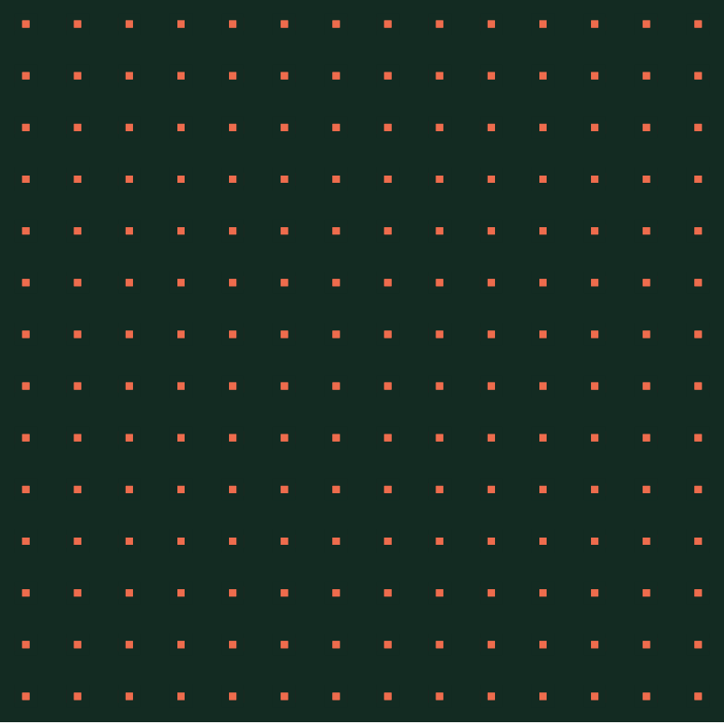 INTERACTIVE - Hide n Seek #9 static token preview