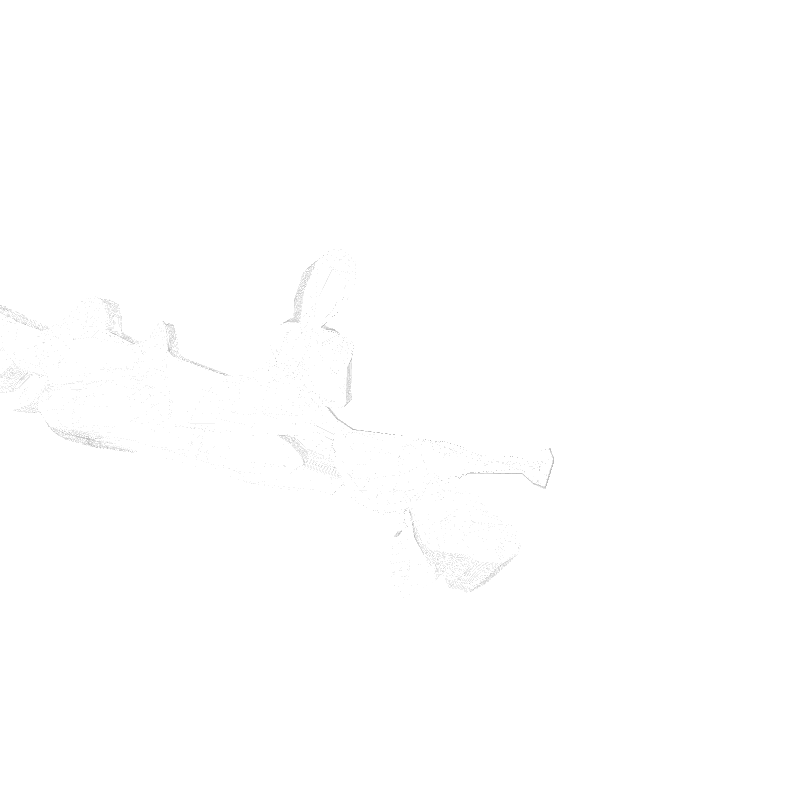 traces #14 static token preview