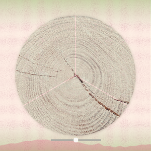 Tree ring waltz project preview