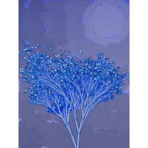 Garden of the Hesperides project preview