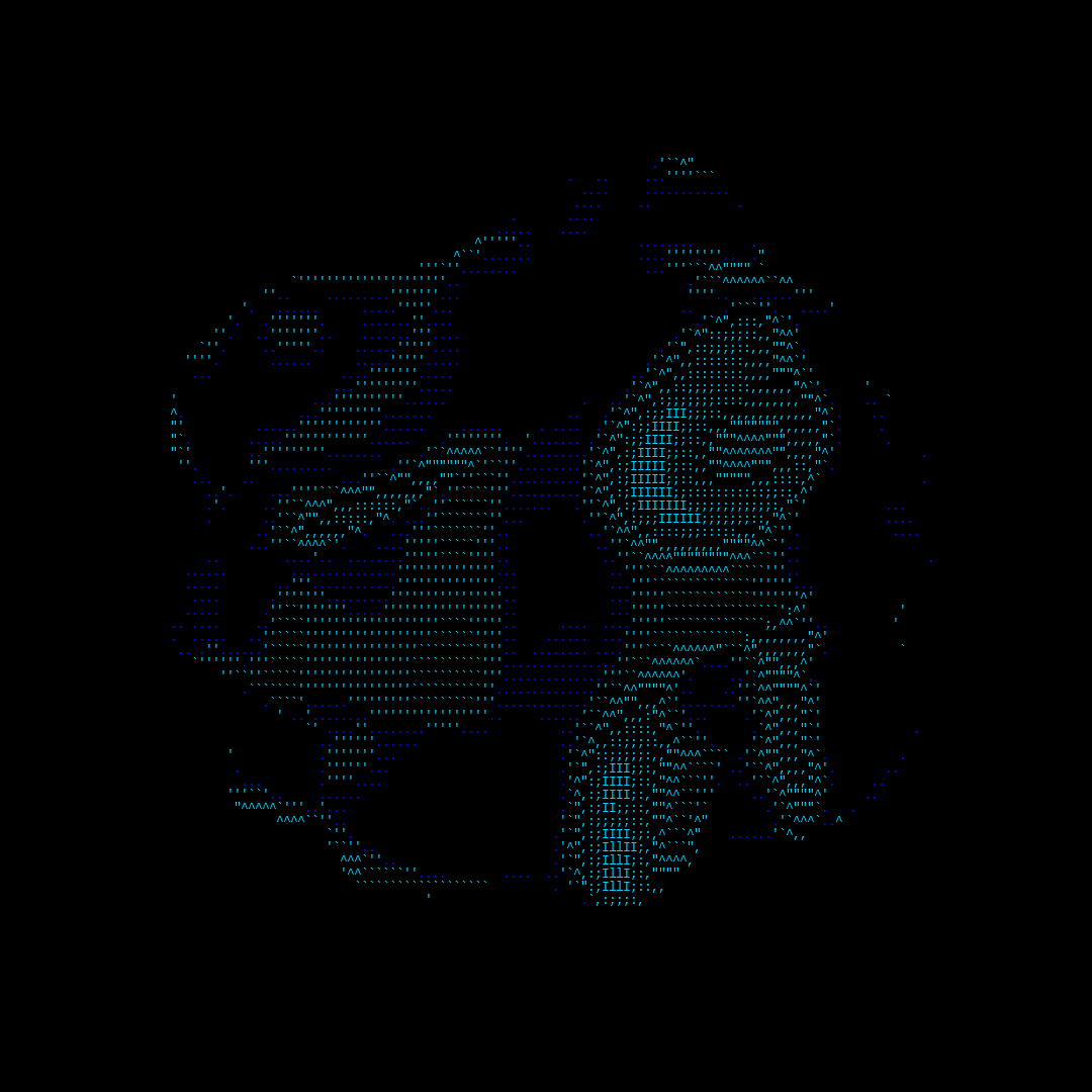 parts of us - ascii #13 static token preview