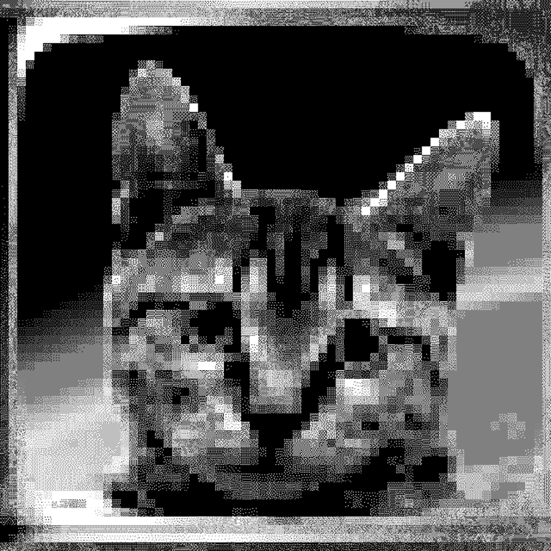 space cat #5 static token preview