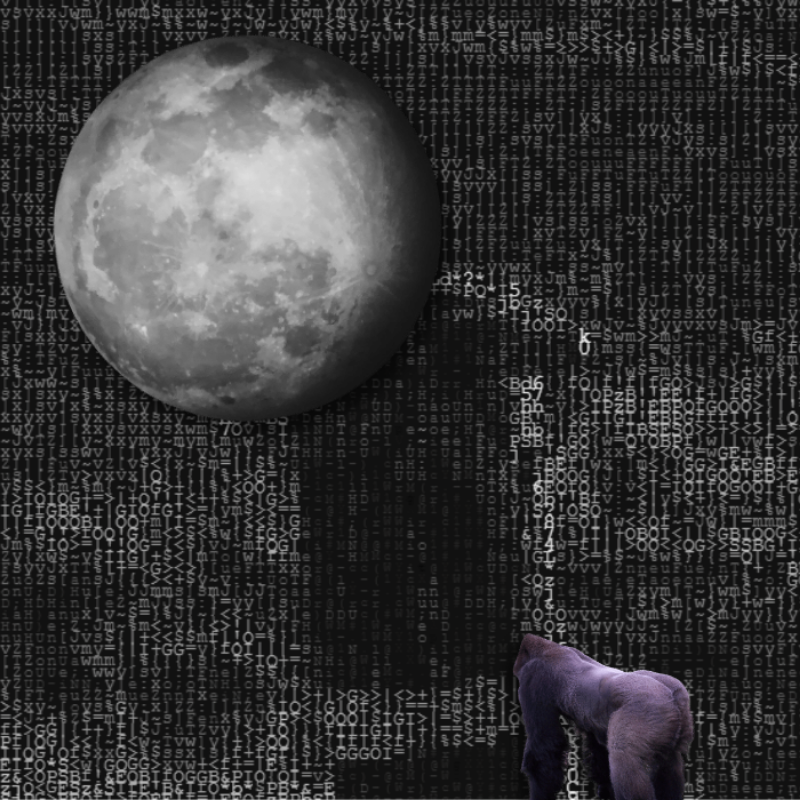 MoonKey #6 static token preview