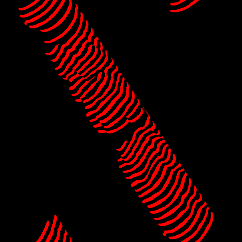 Cellular Automata #14 static token preview