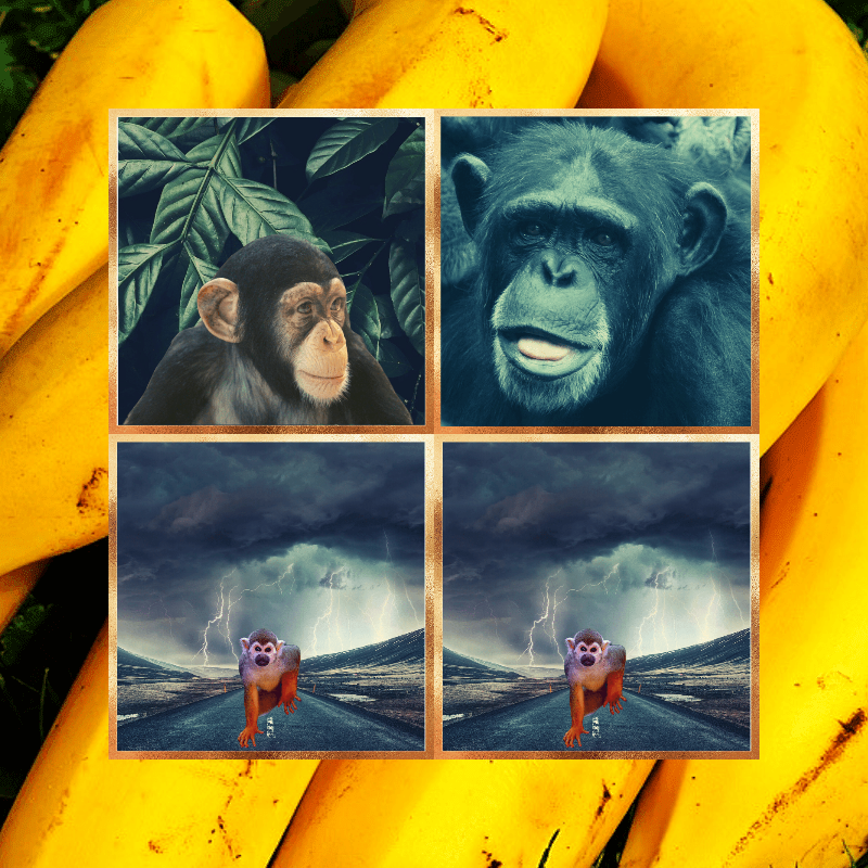 Banana legends #18 static token preview
