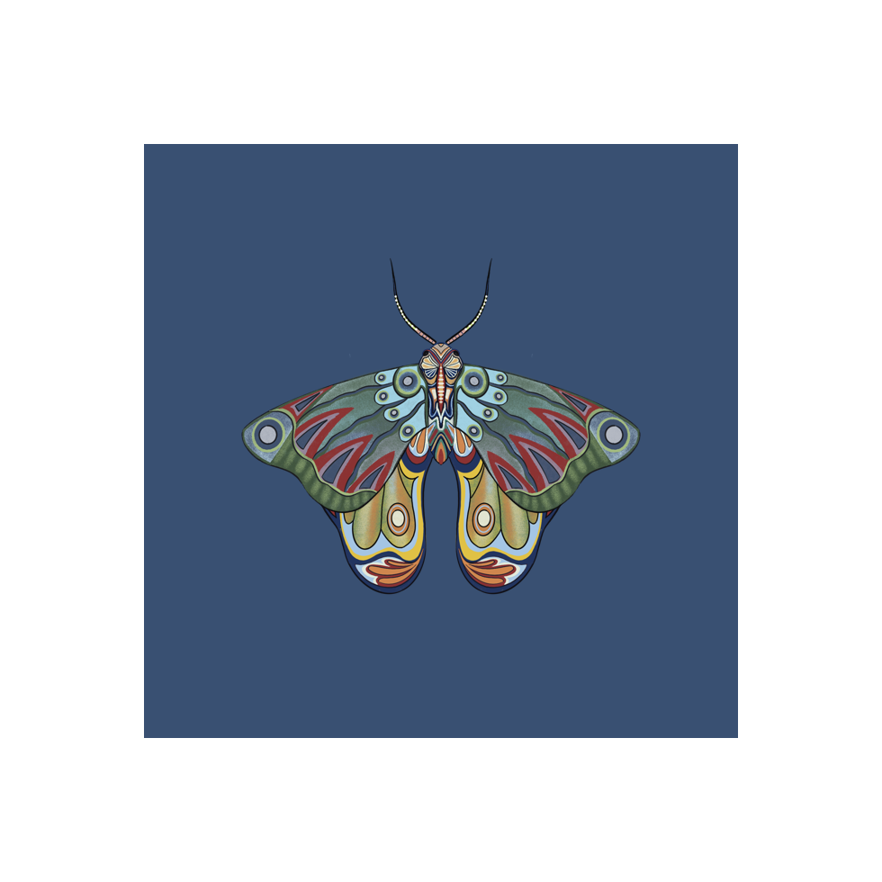 The Moth Experiment #7 static token preview