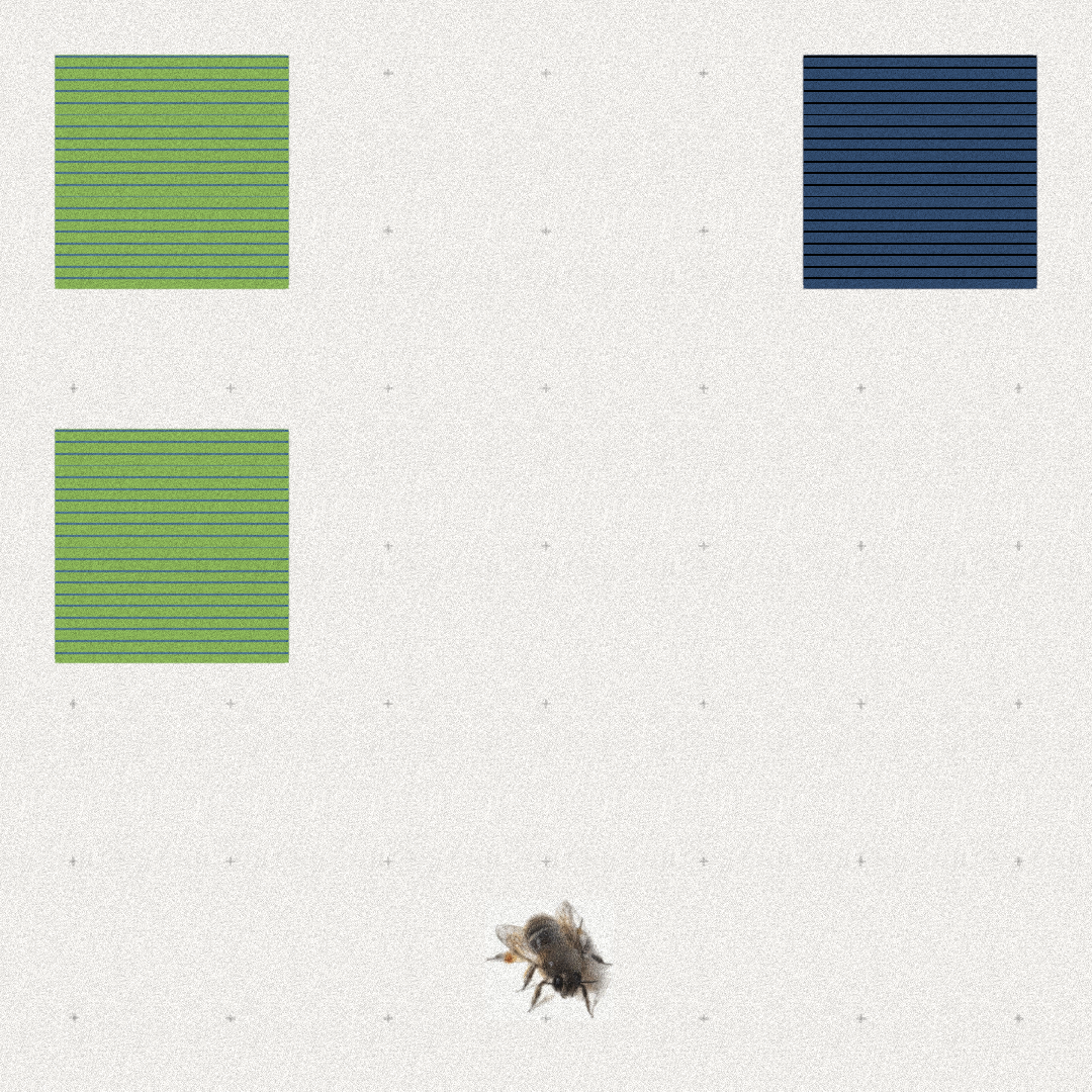 Bee #29 static token preview