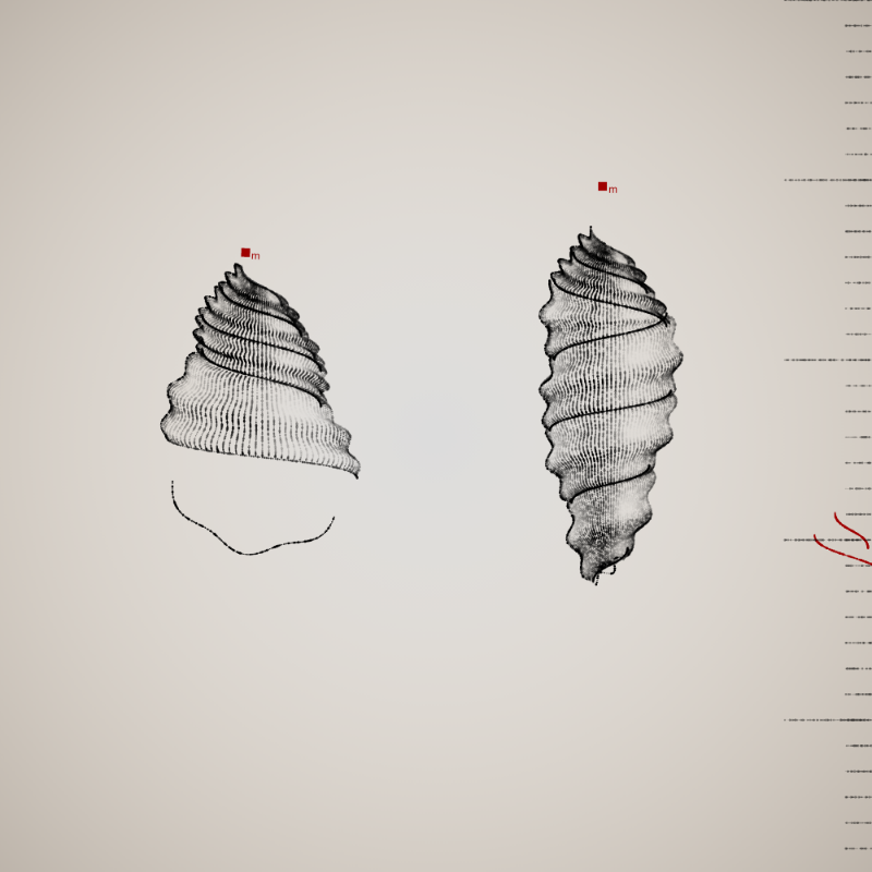 Two Specimen #6 static token preview