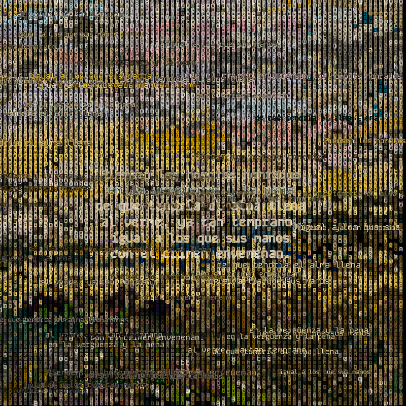 A hacker in the Pampas #14 static token preview