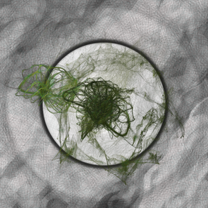 Herbarium Invaders project preview