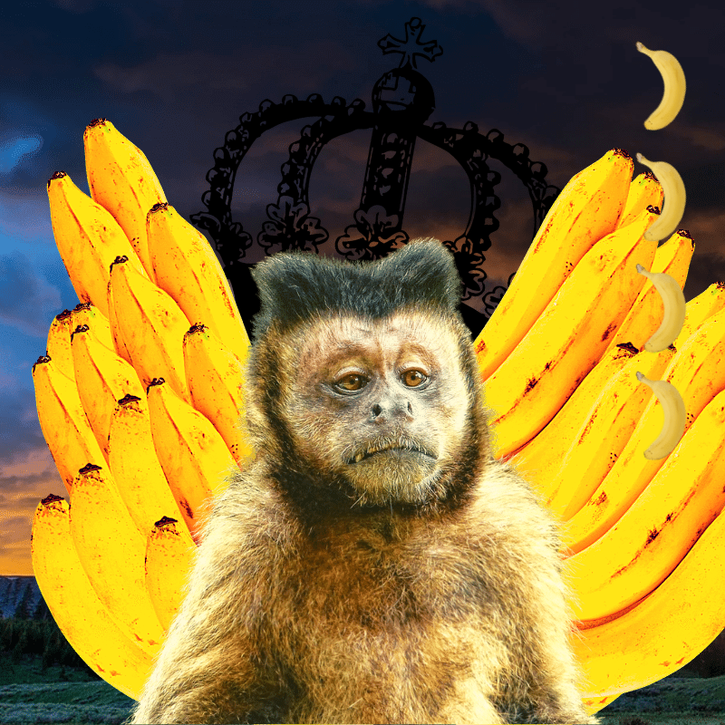 Banana gods #4 static token preview