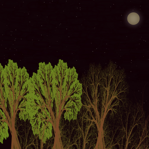 Chaotic Arboreum project preview