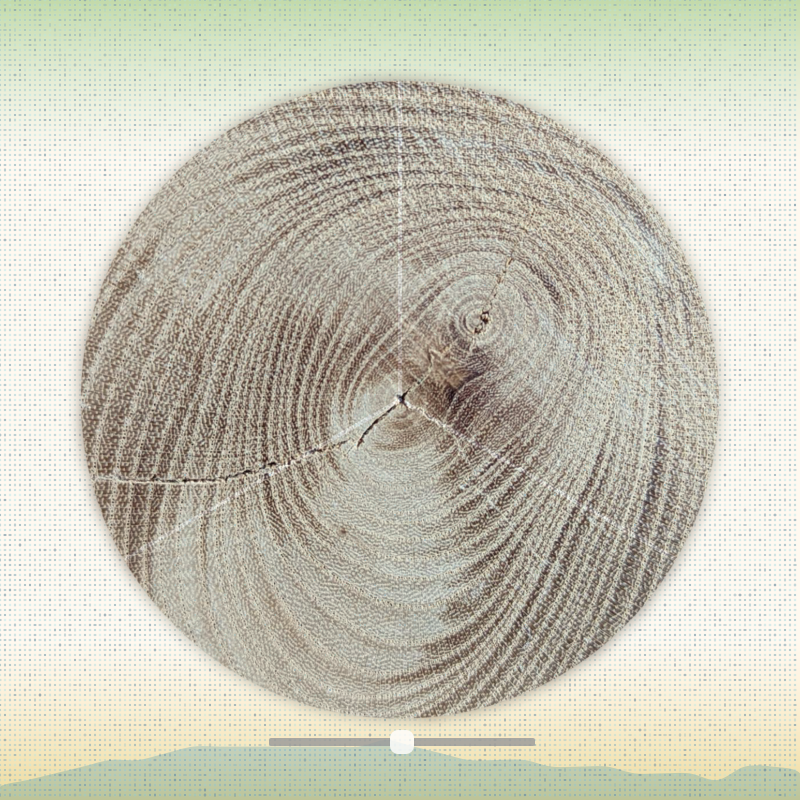 Tree ring waltz #4 static token preview
