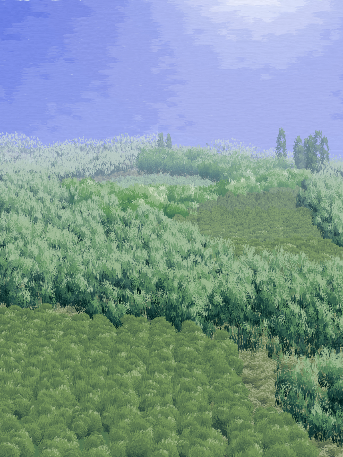 Provence #9 static token preview