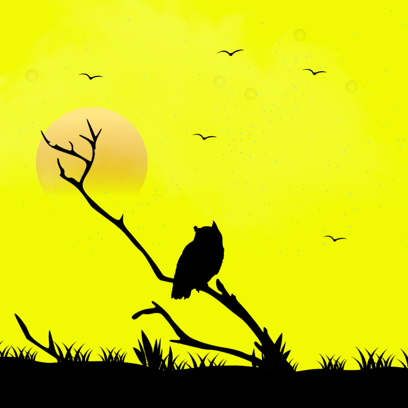 We Care...Owl #12 static token preview