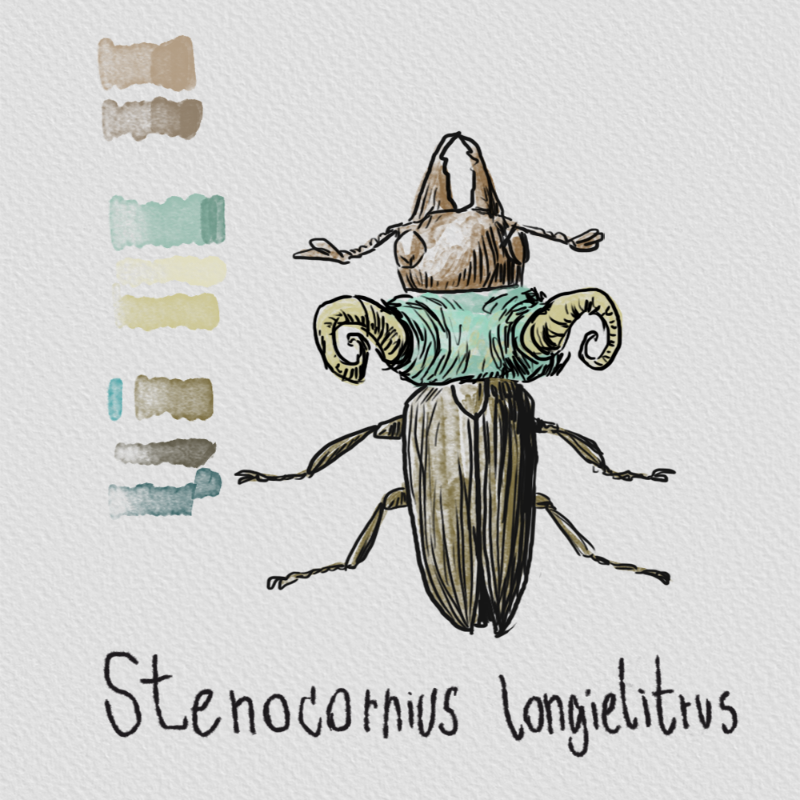 Randomic Fauna1 #2 static token preview