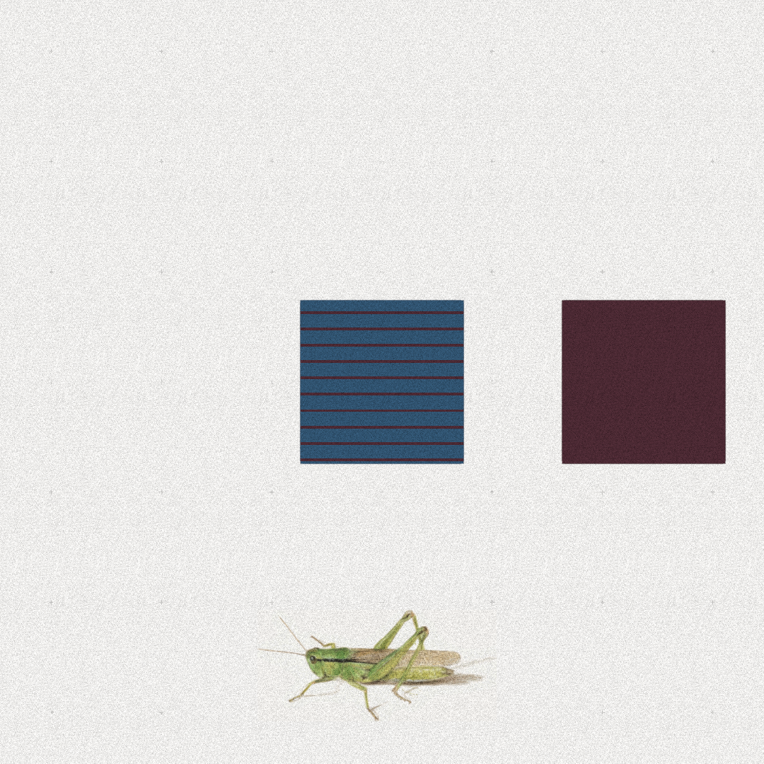 Grasshopper #12 static token preview