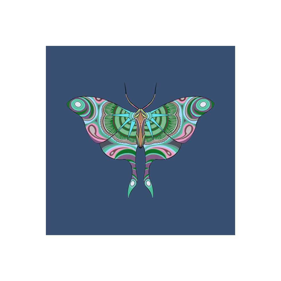 The Moth Experiment #6 static token preview