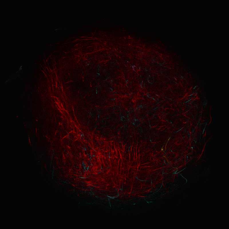 balls in vector fields #16 static token preview
