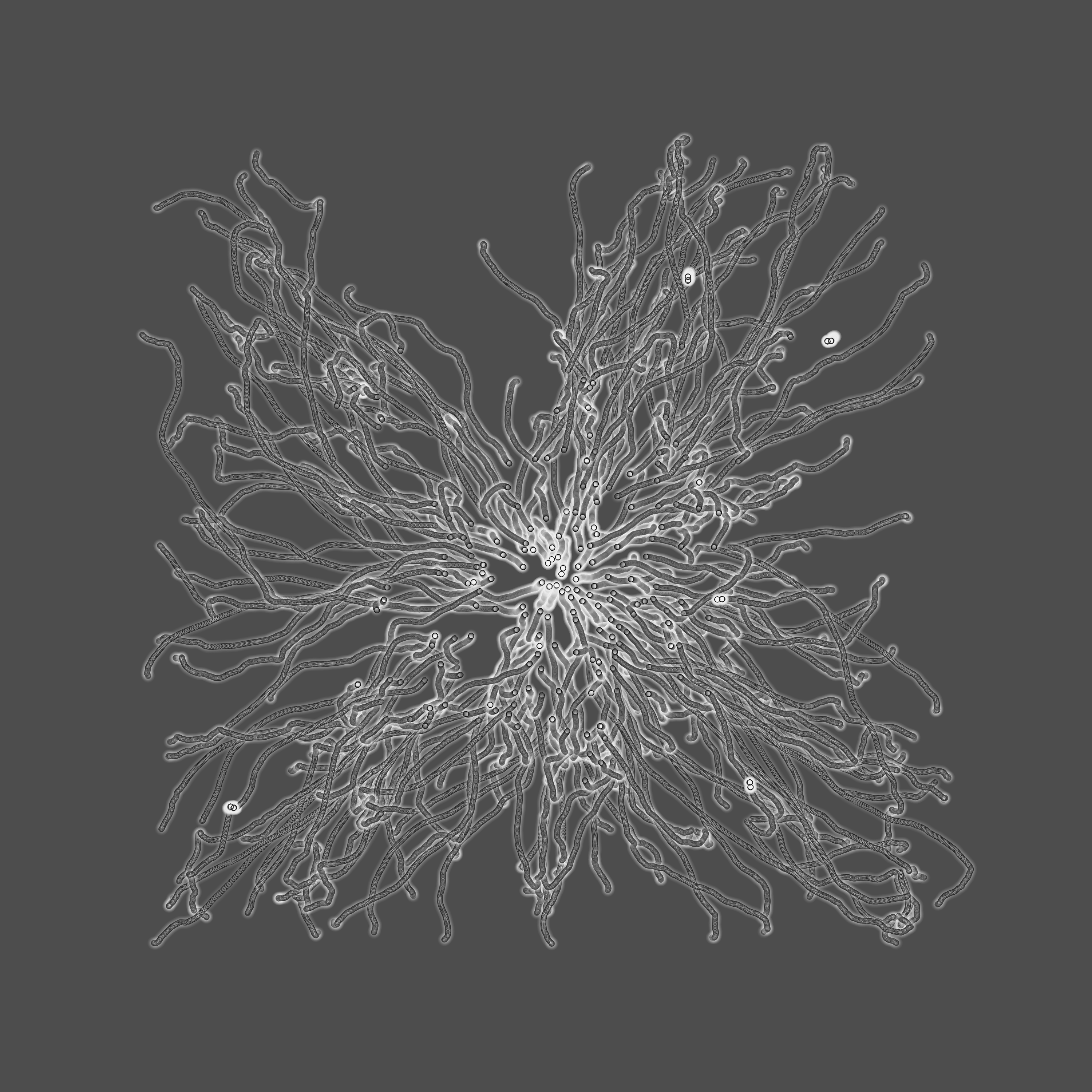grey fungi wisdom #126 static token preview