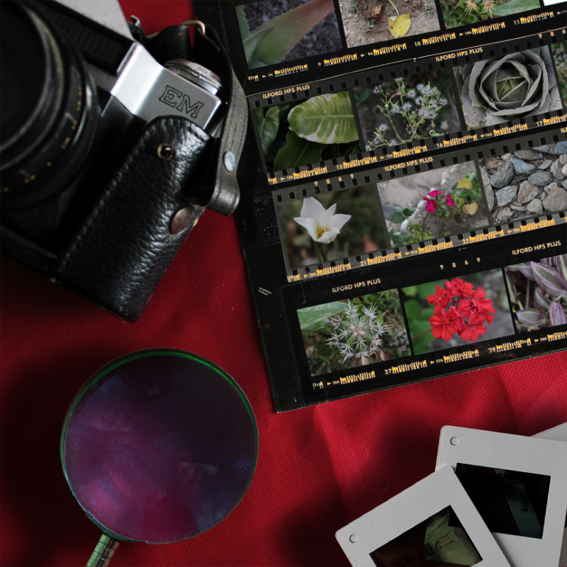 Contact Sheet #13 static token preview