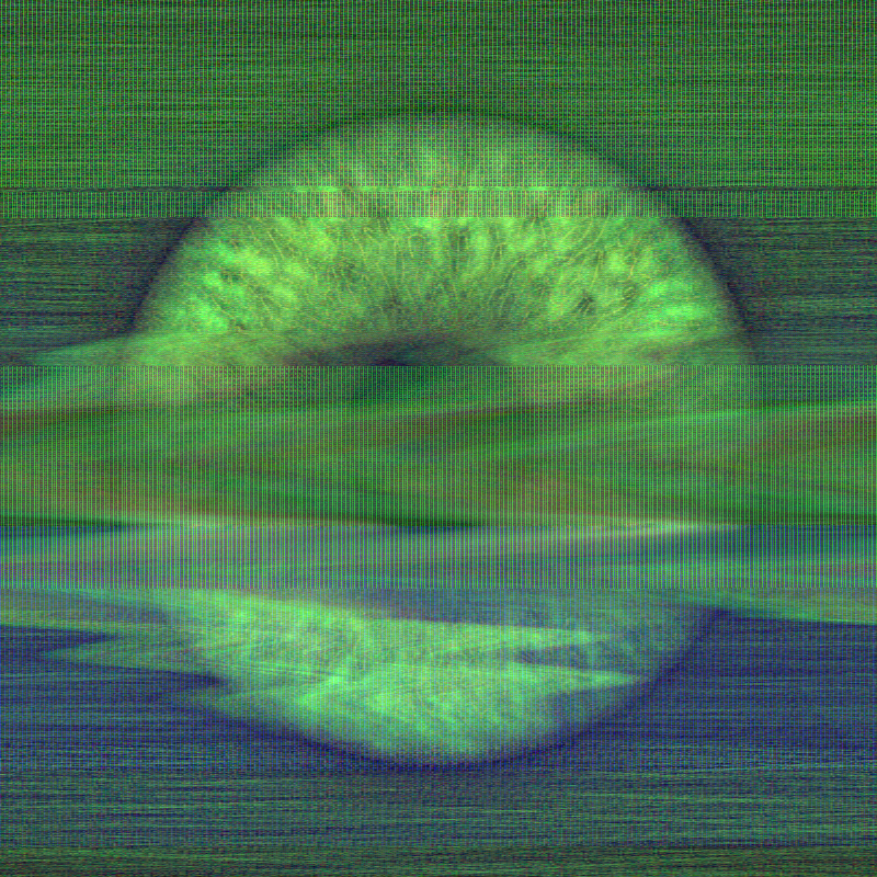 Distorted Vision #16 static token preview