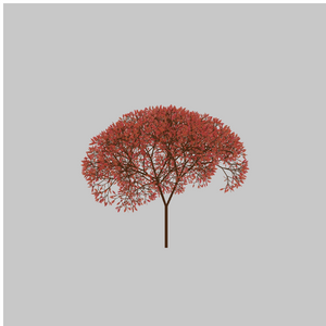 CandyTree project preview