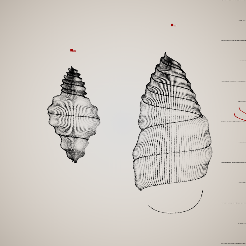 Two Specimen #21 static token preview