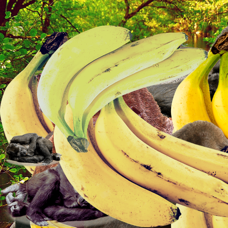 Banana #1 #7 static token preview