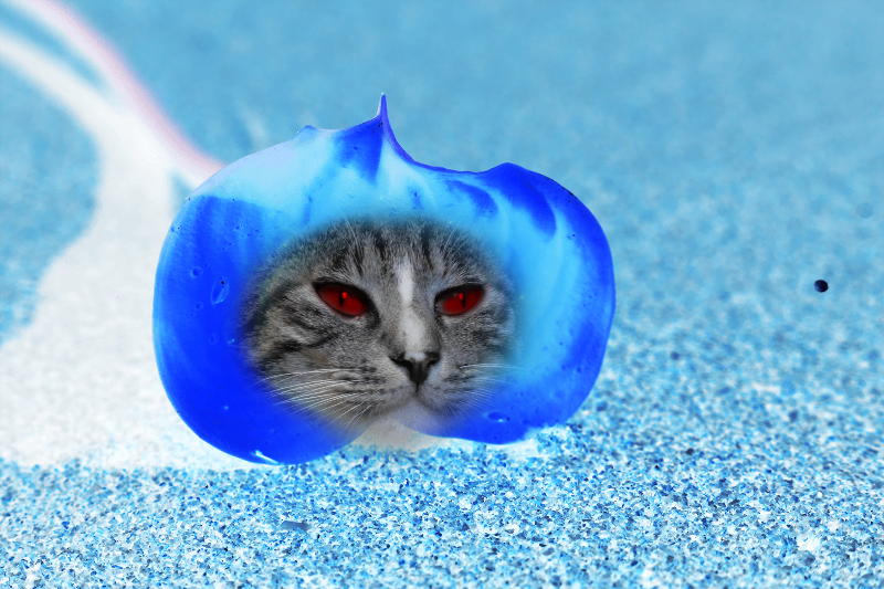 Flowering Cat #13 static token preview