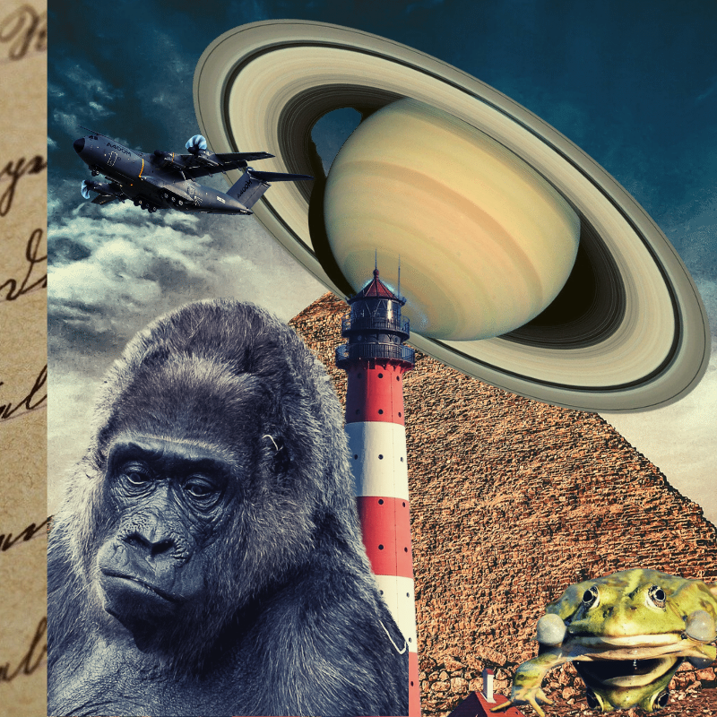 Banana & Pepe on mysterious trips #2 static token preview