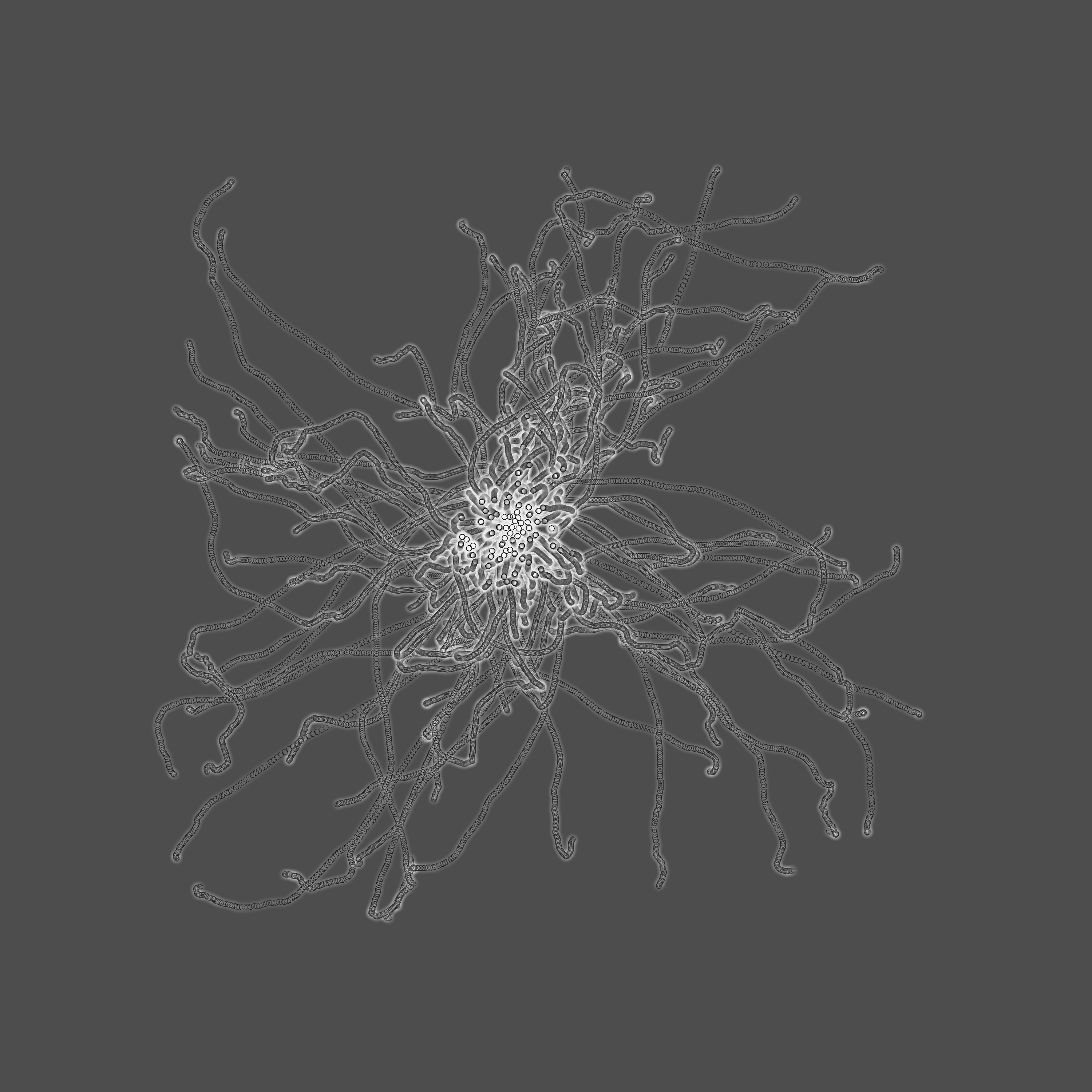 grey fungi wisdom #32 static token preview