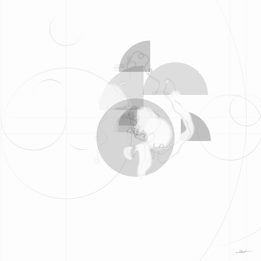 BERNARD #13 static token preview