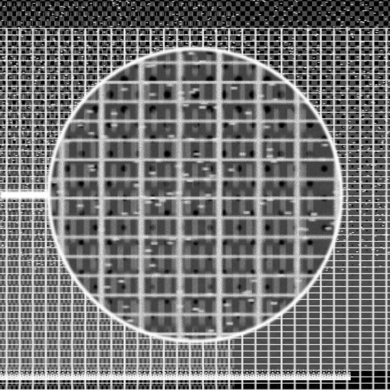 MICROSCOPY #10 static token preview