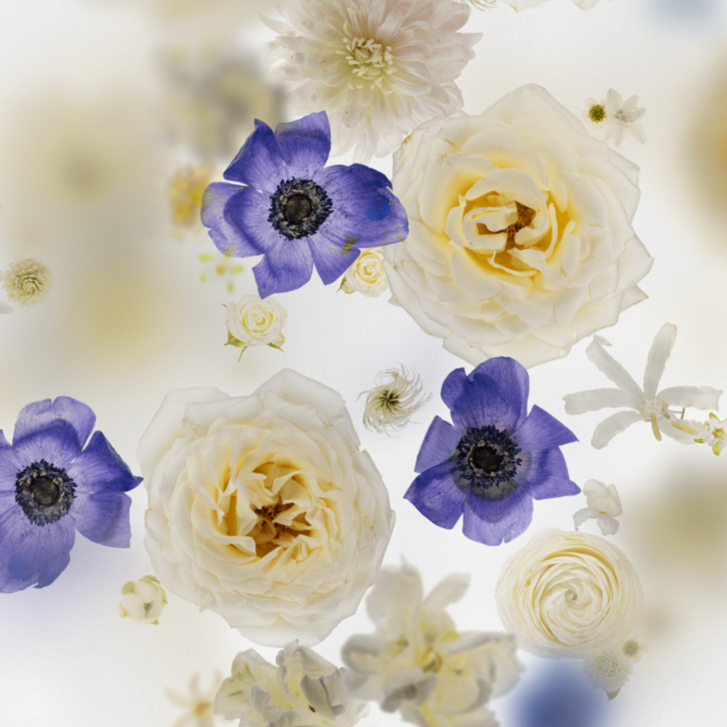 Broken Flowers #6 static token preview