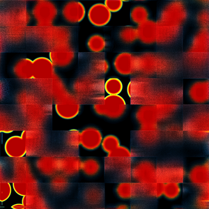 Bacterias project preview