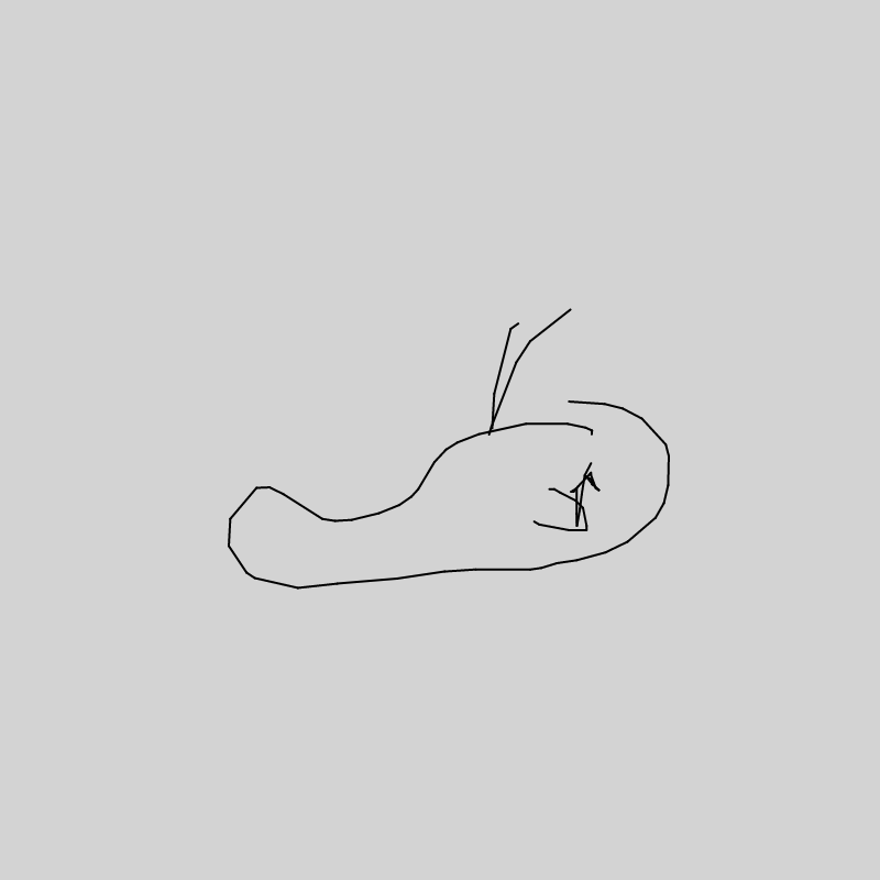 NeuralWhale #13 static token preview
