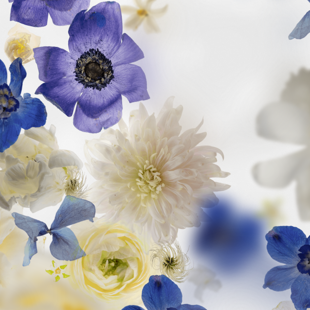 Broken Flowers #7 static token preview