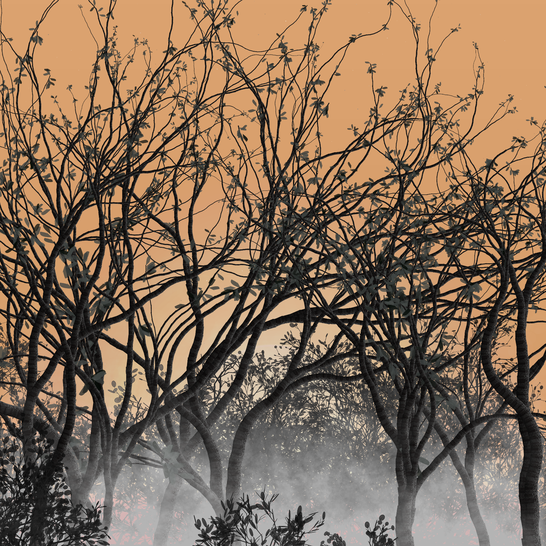 Morning Mist #24 static token preview