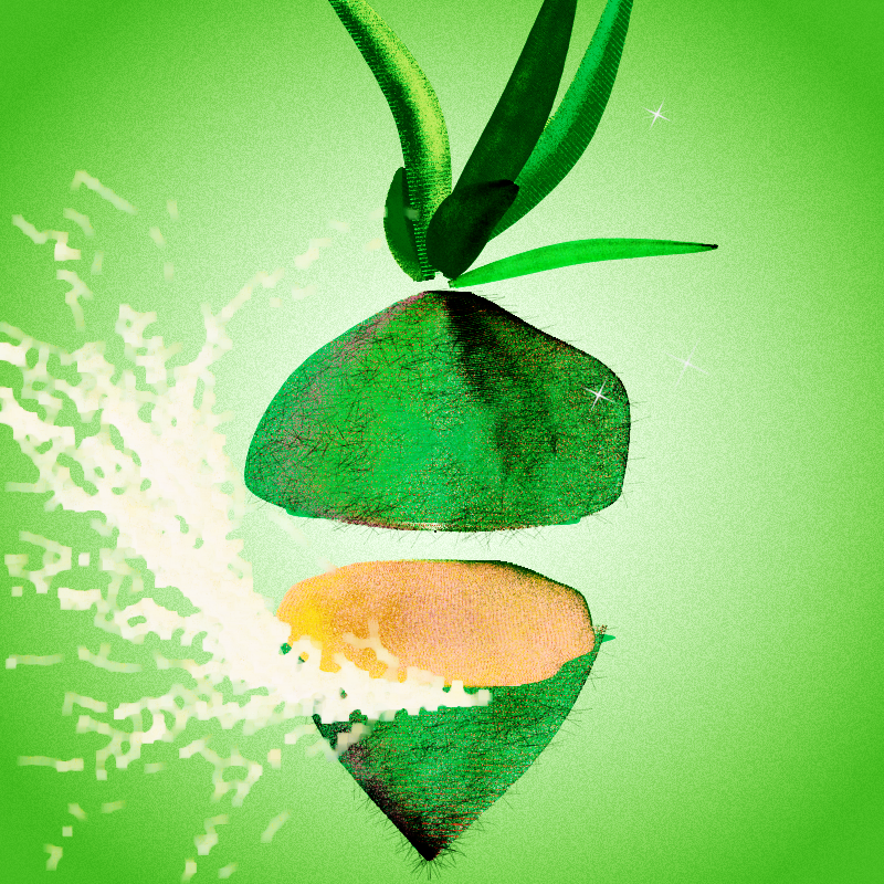 Fresh Fruit #3 static token preview