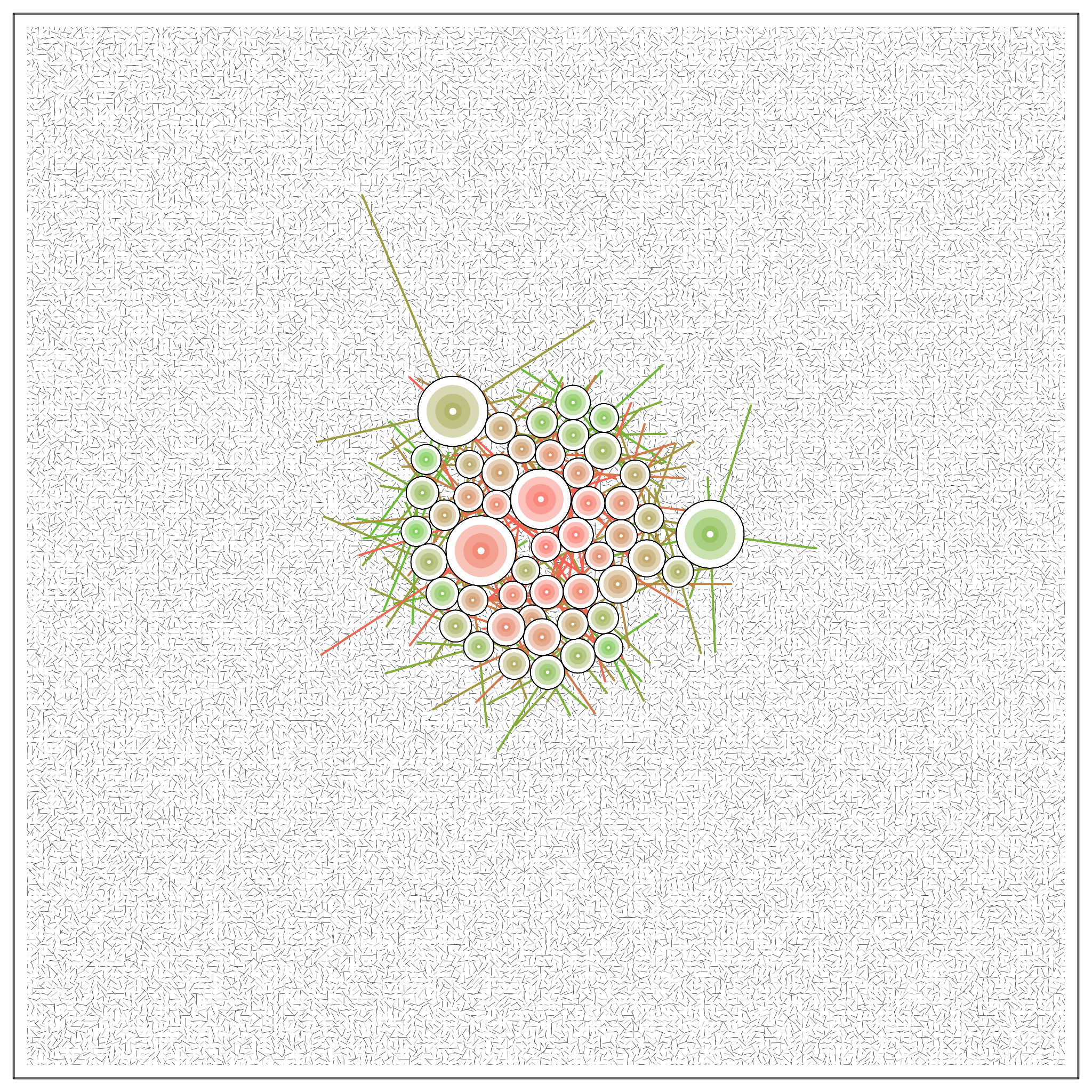 T#6Z#O #16 static token preview