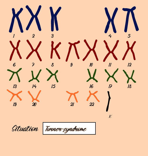 "Karyotype" #1 static token preview