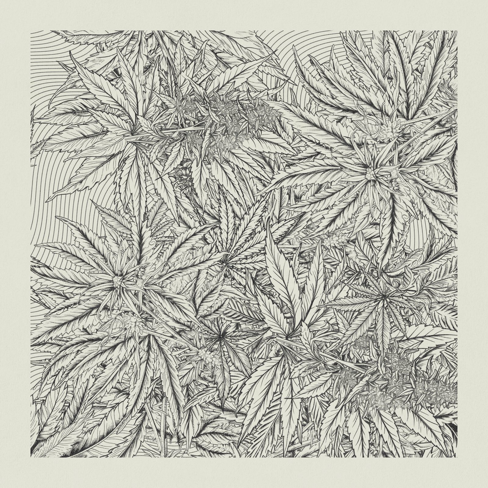 zancannabis #264 static token preview