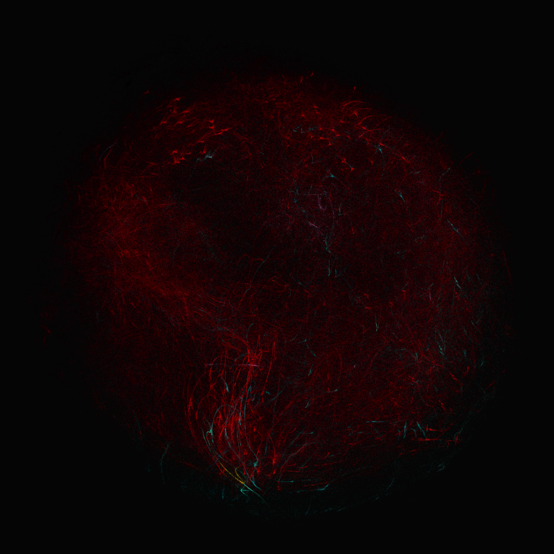 balls in vector fields #18 static token preview