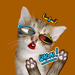 Fortune Kitty NFT project preview