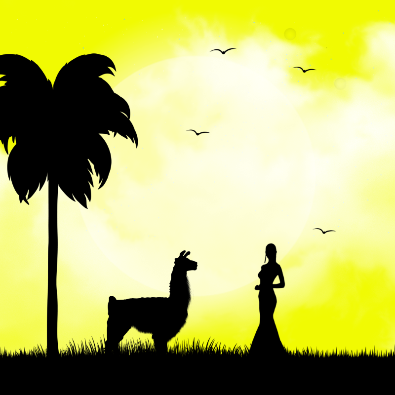 We Care...Llama #10 static token preview