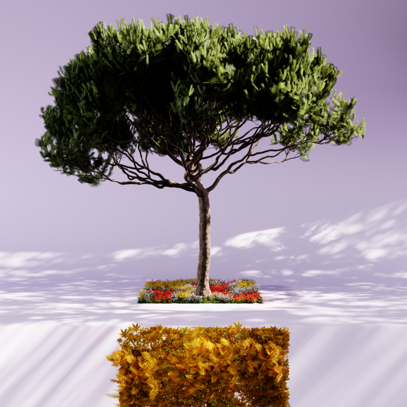 Nature rooms #24 static token preview