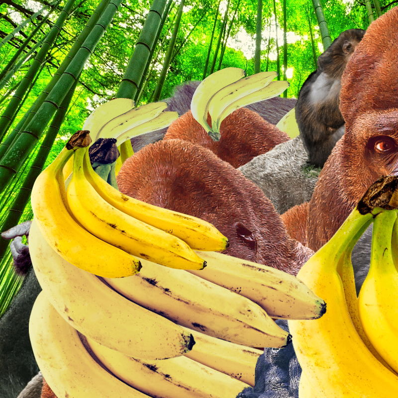 Banana #1 #22 static token preview
