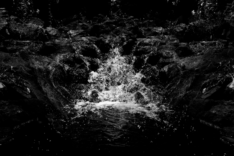 chasing waterfalls #2 static token preview